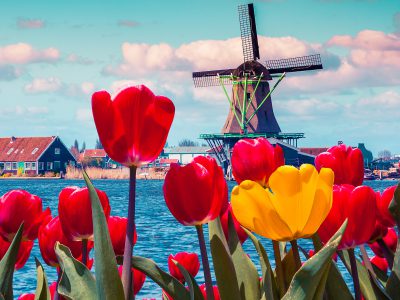 Onderzoek: Wat Nederland Nederland maakt volgens Nederlanders